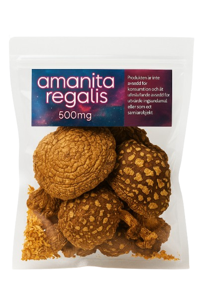 Amanita Regalis 30g